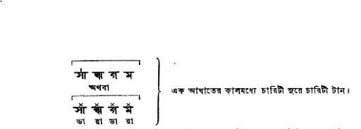 মাত্রা ব্যবহারের নিয়ম